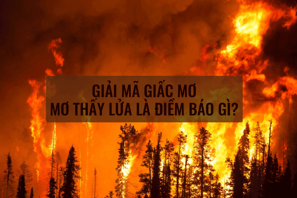 Mơ Thấy Lửa Cháy Có Phải Điềm Xấu – Đánh Số Gì May Mắn?