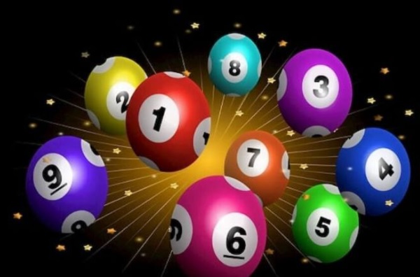 Quất dàn đề 50 số lộc trời nuôi 3 ngày hiệu quả