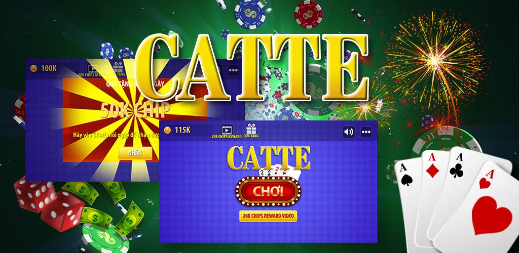 Bài Catte – Hướng Dẫn Từ A – Z Cho Tân Thủ Nhập Môn