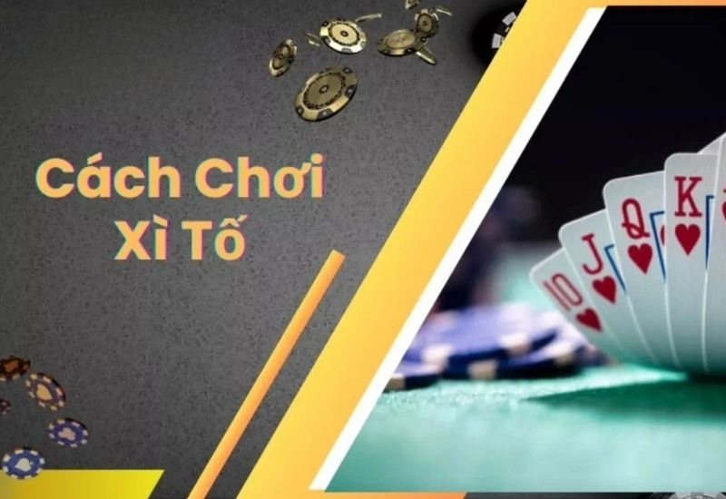 Cách chơi xì tố tối ưu nhất dành cho người mới bắt đầu 2025