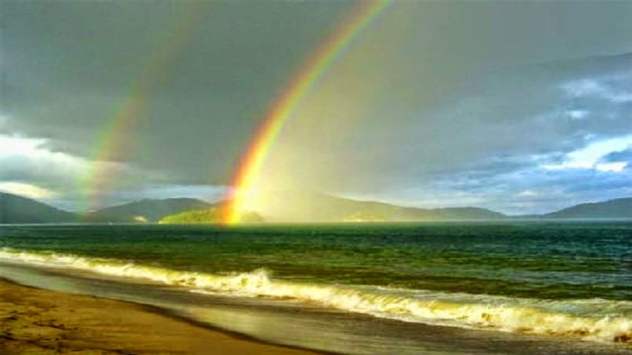 Chiêm bao rainbow không còn nữa