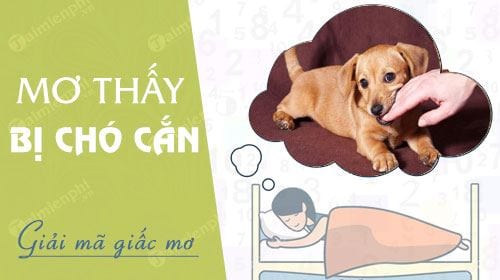Nằm mơ bị chó cắn đánh con gì hôm sau?